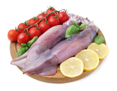 Raw squids, tomatoes, lemon slices and basil isolated on white