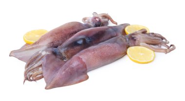Çiğ mürekkep balıkları ve limon dilimleri beyaz üzerine izole edilmiş.