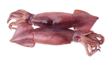 İki taze çiğ mürekkep balığı beyaza izole edilmiş, üst manzara.