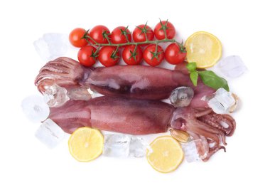 Çiğ mürekkep balıkları, buz küpleri, domatesler, fesleğen ve limon dilimleri beyaza izole edilmiş.