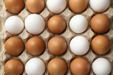Many raw chicken eggs in carton, top view