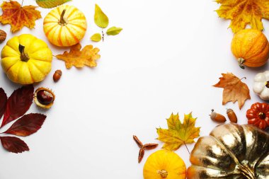 Flat lay composition with dry autumn leaves and pumpkins on white background. Space for text
