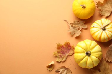 Dry autumn leaves and pumpkins on pale orange background, flat lay. Space for text