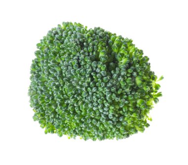 Taze çiğ yeşil brokoli beyaza izole edilmiş.