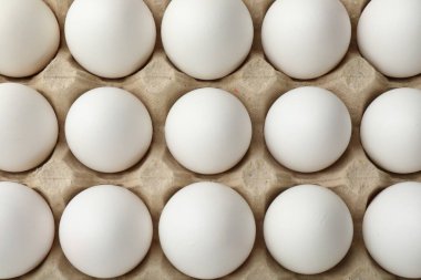 Yumurta kartonunda çiğ tavuk yumurtası, üst manzara.