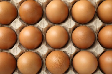 Raw chicken eggs in egg carton as background, top view