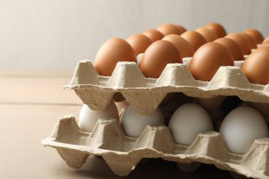 Different raw chicken eggs in egg cartons on wooden table, closeup