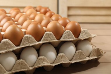 Different raw chicken eggs in egg cartons on wooden table, closeup