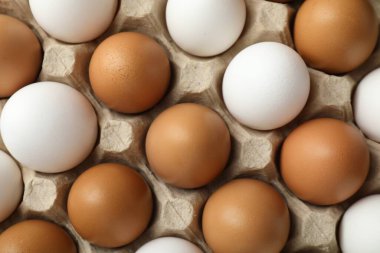 Many raw chicken eggs in carton, top view