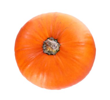 Ripe pumpkin isolated on white, top view