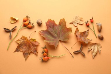 Dry autumn leaves, rose hip berries and acorns on pale orange background, flat lay