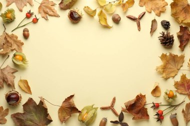 Kuru yapraklar ve diğer sonbahar dekorları bej arka planda, düz yerde. Metin için boşluk