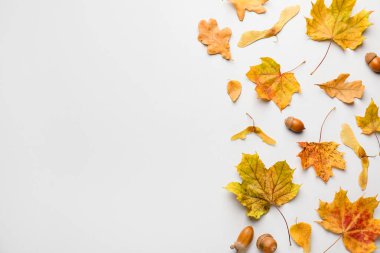 Dry autumn leaves and acorns on white background, flat lay. Space for text