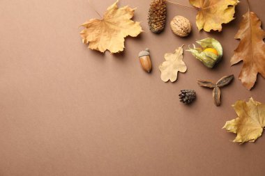 Dry autumn leaves, pine cones, acorn, walnut and physalis on dark beige background, flat lay. Space for text
