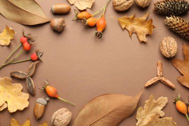 Kuru sonbahar yaprakları, gül kalçası böğürtlen, ceviz, çam kozalağı ve koyu bej arka planda meşe palamudu, düz yatak. Metin için boşluk