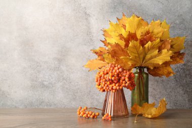 Autumn composition with vase of dry leaves and berries on wooden table near grey wall. Space for text