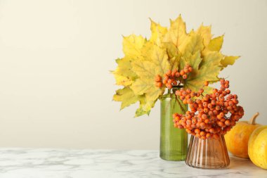 Autumn composition with berries and vase of dry leaves on white marble table, space for text