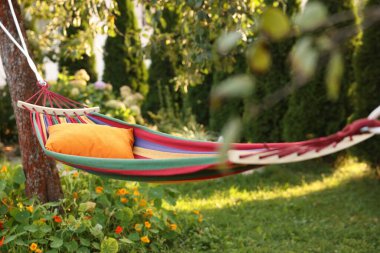 Comfortable cushion on colorful hammock in garden