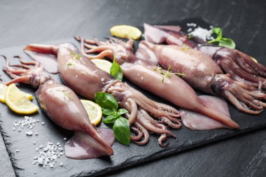 Raw squids, lemon and basil on black table, closeup