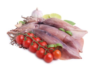 Fresh raw squids, tomatoes, lime slices and spices isolated on white