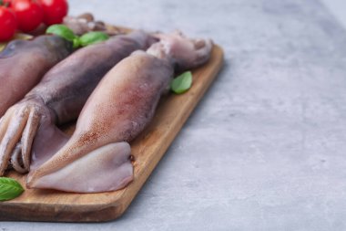 Fresh raw squids with basil on grey table, closeup. Space for text
