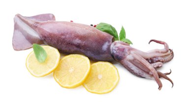Raw squid, peppercorns, basil and lemon slices isolated on white