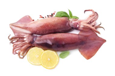 Raw squids, lemon slices, peppercorns and basil isolated on white, top view