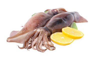 Çiğ mürekkep balıkları, limon dilimleri ve beyaz üzerine izole edilmiş fesleğen.