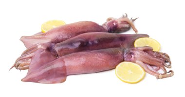 Çiğ mürekkep balıkları ve limon dilimleri beyaz üzerine izole edilmiş.