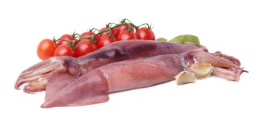 Raw squids, tomatoes, basil and garlic isolated on white