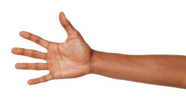 Beyaz arka planda avuç içi gösteren Afro-Amerikalı adam, yakın plan.