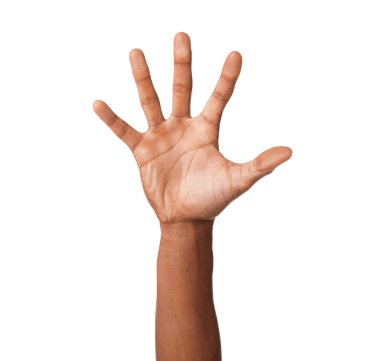 Beyaz arka planda avuç içi gösteren Afro-Amerikalı adam, yakın plan.