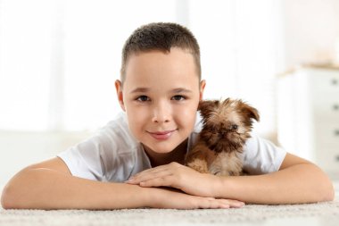 Evdeki sevimli Griffon köpekli çocuk. Evcil hayvan