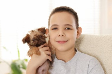 Evdeki koltukta şirin bir Griffon köpeği olan çocuk. Evcil hayvan