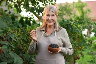 Yaşlı kadın bahçede olgun böğürtlen kasesi tutuyor.