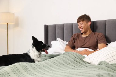 Evcil hayvan dostu otel. Bir adam ve sevimli köpeği yataktalar.