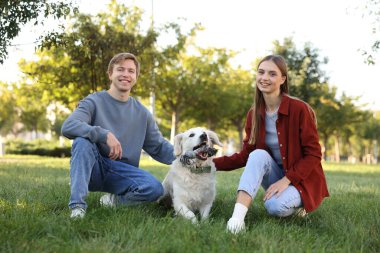Parkta sevimli Golden Retriever köpekleri olan mutlu çift.
