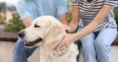 Bir çift, sevimli Golden Retriever köpeğini dışarıda okşuyor.