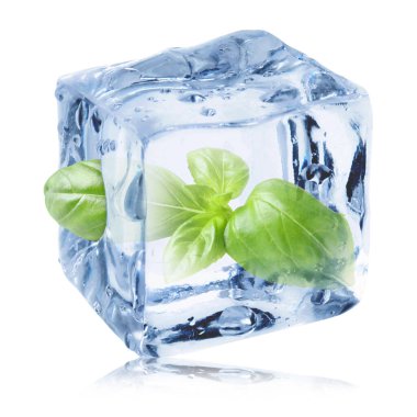 Fresh basil leaves inside ice cube on white background
