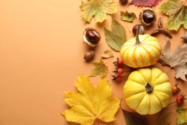 Flat lay composition with dry autumn leaves and pumpkins on pale orange background. Space for text