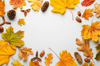 Beyaz arka planda kuru sonbahar yaprakları, meşe palamutları ve çam kozalakları. Metin için boşluk