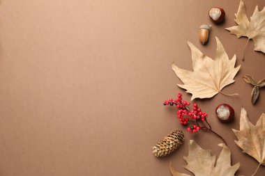 Kuru sonbahar yaprakları, kestaneler, kırmızı böğürtlen, koyu bej arka planda kozalak ve meşe palamudu. Metin için boşluk