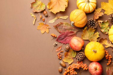 Kuru sonbahar yaprakları, balkabakları, elmalar, meşe palamutları, çam kozalakları ve koyu bej arka planda yaban mersinleri. Metin için boşluk