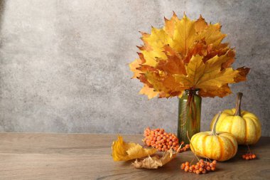 Autumn composition with vase of dry leaves, berries and pumpkins on wooden table near grey wall. Space for text