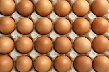 Raw chicken eggs in egg carton as background, top view
