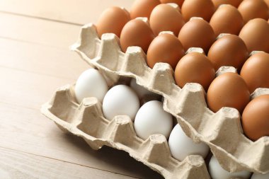 Different raw chicken eggs in egg cartons on wooden table, closeup