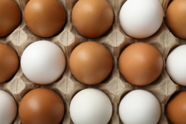 Many raw chicken eggs in carton, top view