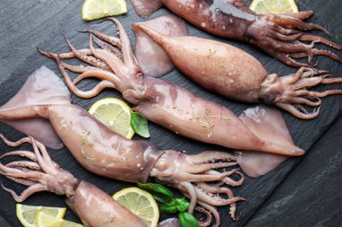 Raw squids, lemon and basil on black table, top view
