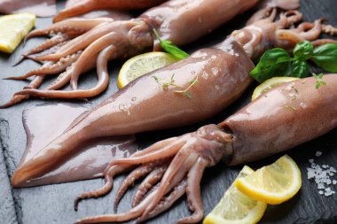 Raw squids, lemon and basil on black table, closeup
