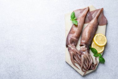 Raw squids, lemon and basil on light grey table, top view. Space for text